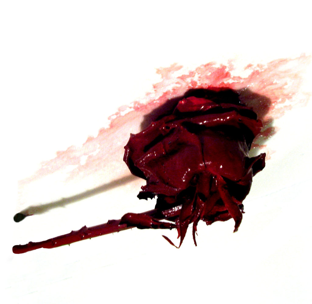 Fotografia rosa rossa dipinta di rosso