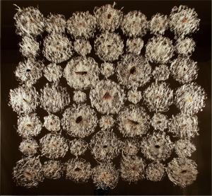 OPERE_Wunderkammer_Entomofagia_01