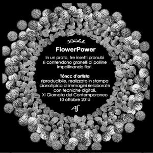 OPERE flowerPower stampa 27