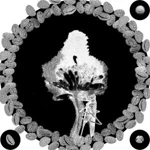 OPERE flowerPower stampa 19
